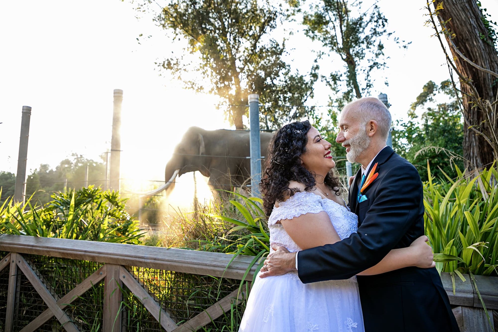 Jennifer and David embracing with an elephant behind them at the Los Angeles Zoo