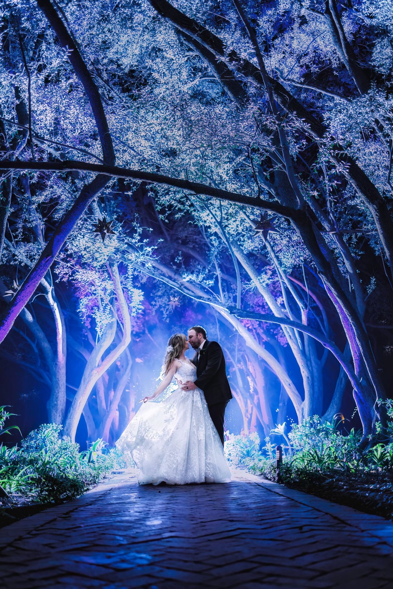 Wedding couple beneath blue-lit trees at Padua Hills Theatre