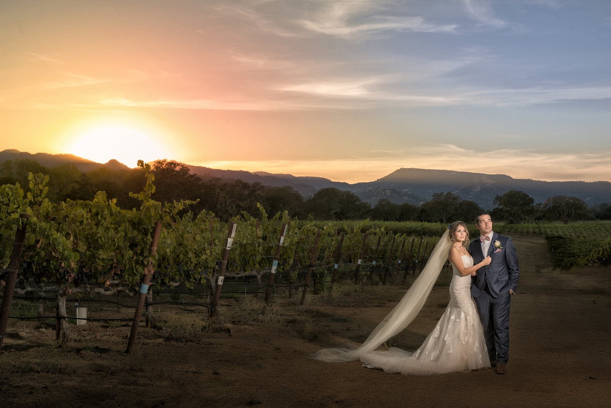 Wedding couple overlooking vineyard rows at sunset