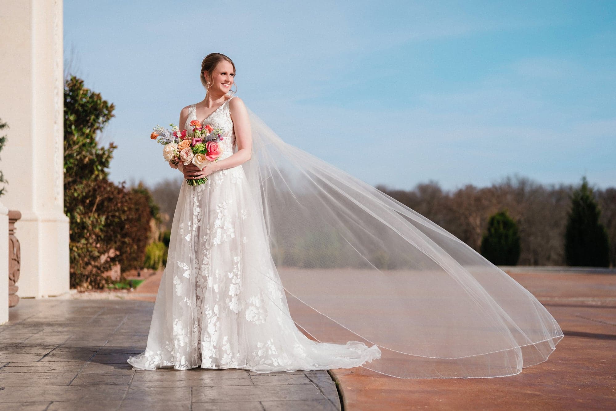 Erin on the front terrace at D'Vine Grace Vineyard with her cathedral veil streaming out across the frame under a blue Texas sky
