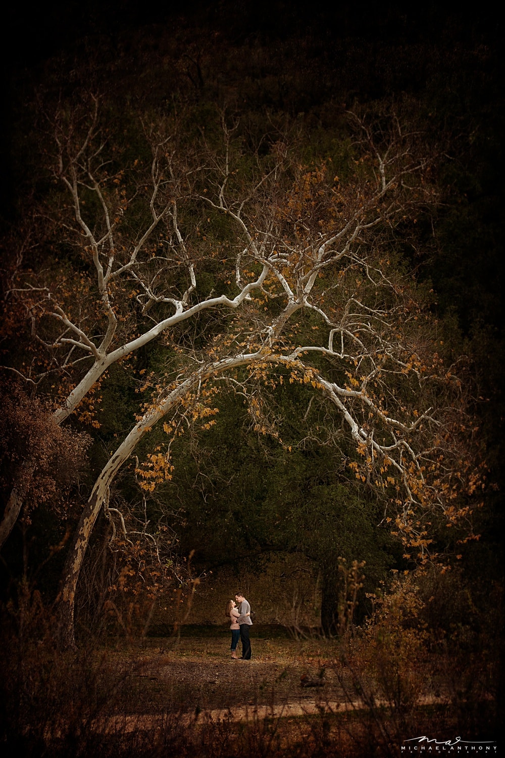 placerita canyon,engagement session,beauty,love,natural light,leaves,fall,colors,la wedding photographers,santa clarita wedding photographers,best,artistic,creative,valencia wedding photographers,