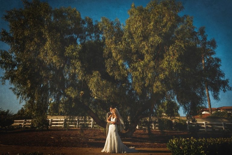 Camarillo Estate  Wedding  Kristina and Matt