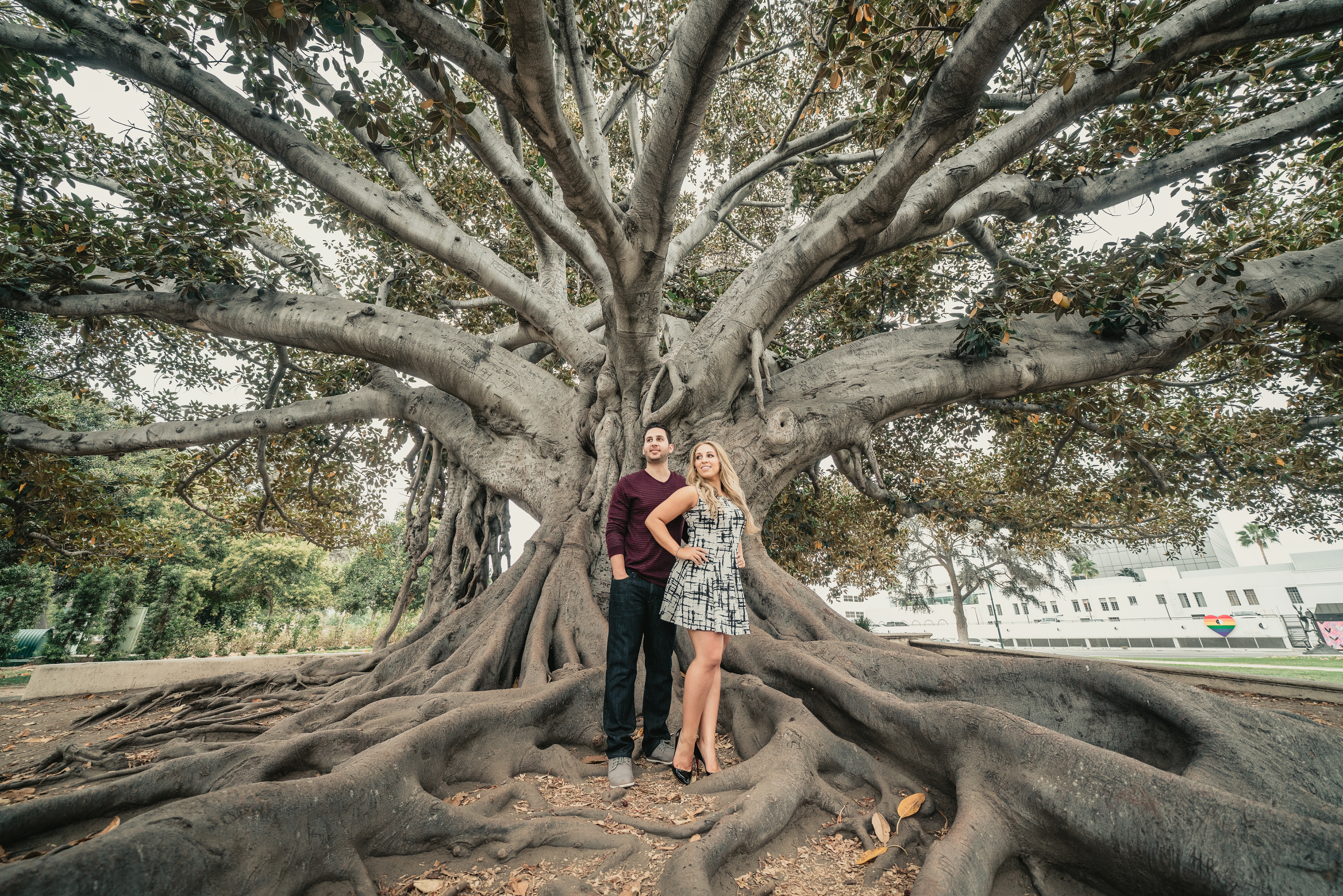 Beverly Hills Engagement Session in Front of Tree